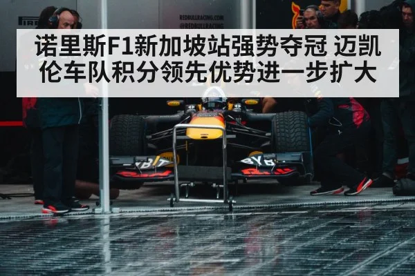 Formula 1 pit stop crew